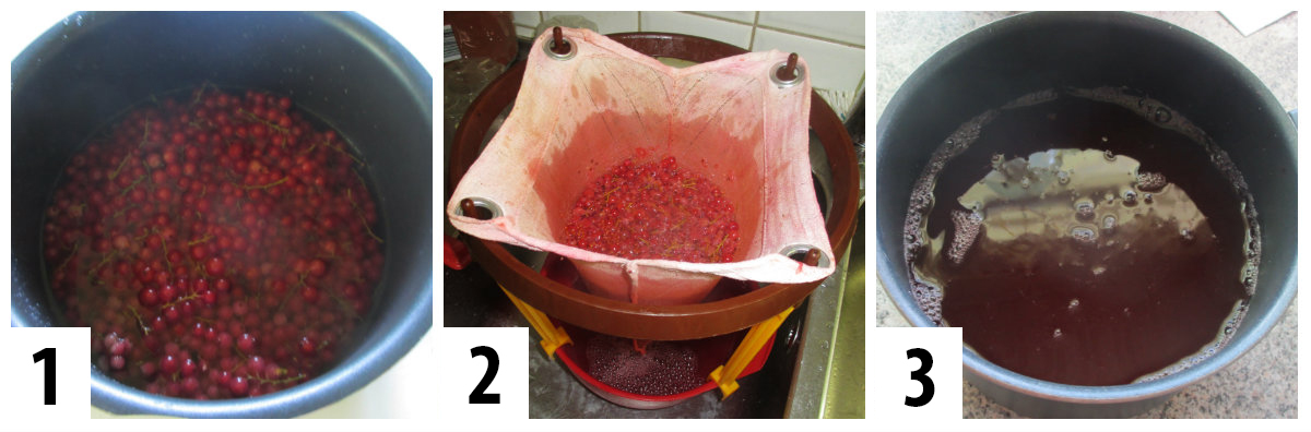 Rödavinbärssaft copy.jpg